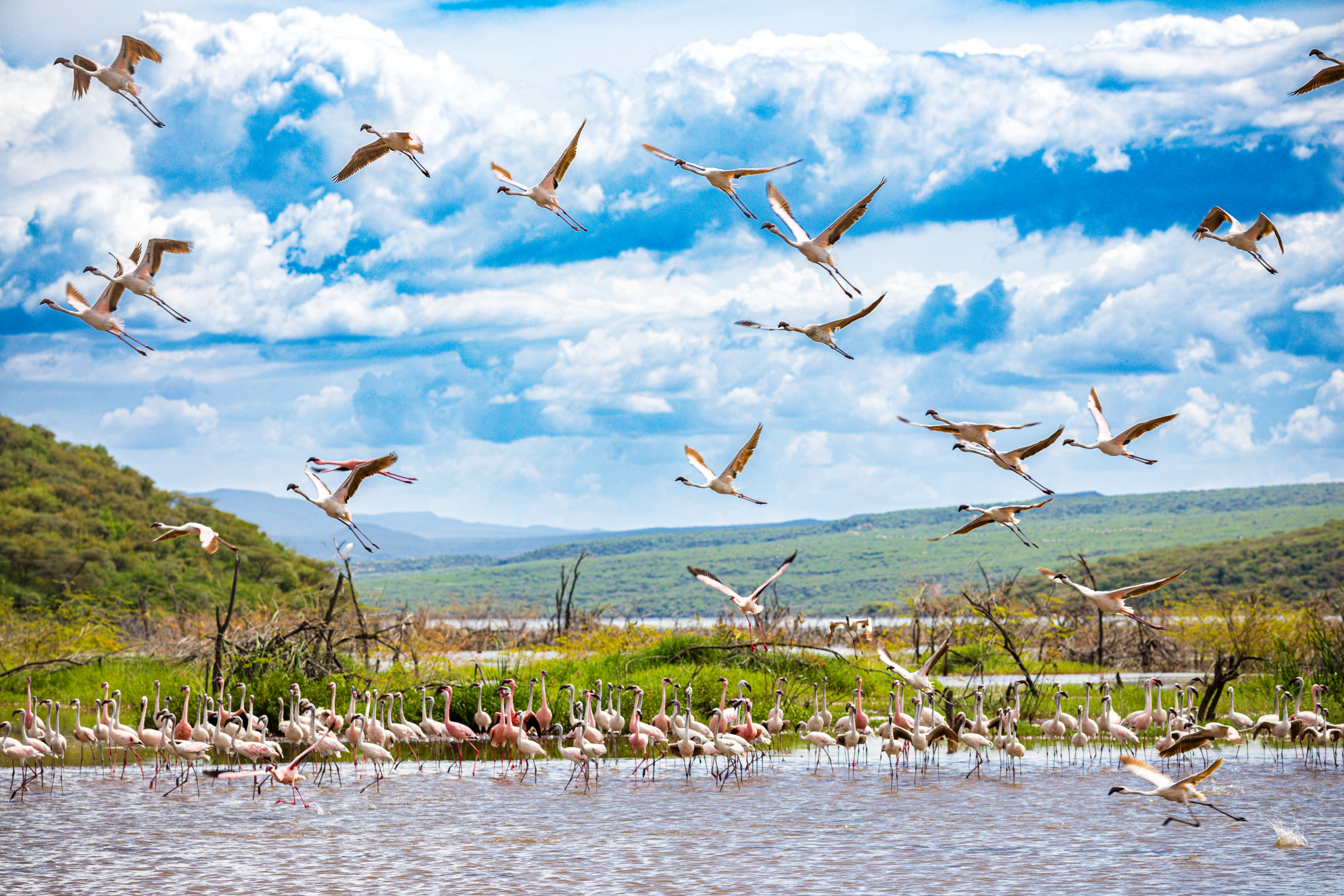 Lake Naivasha