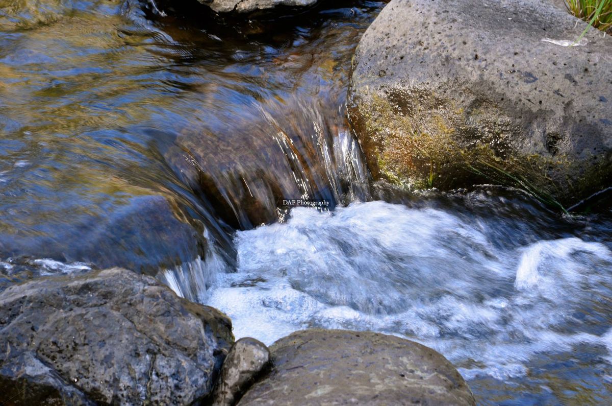 Sister Cities Programs